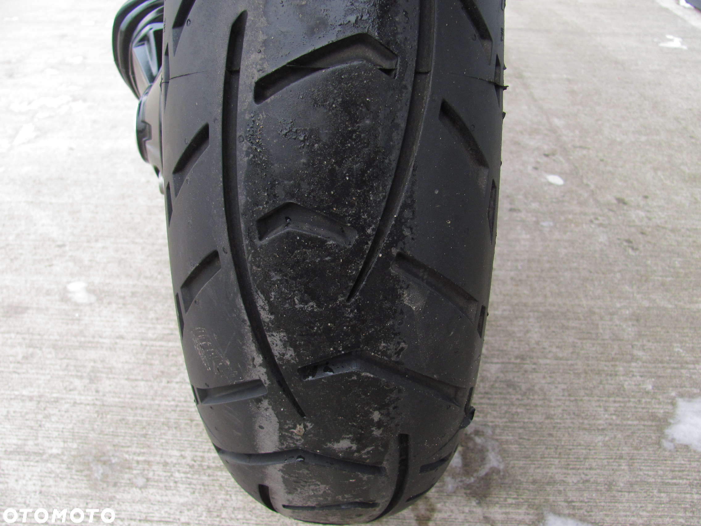 Triumph Tiger - 34