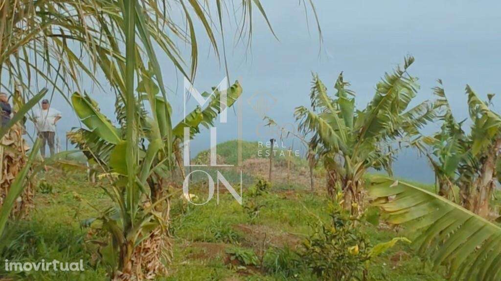 Terreno em Santa Cruz - Grande imagem: 4/15