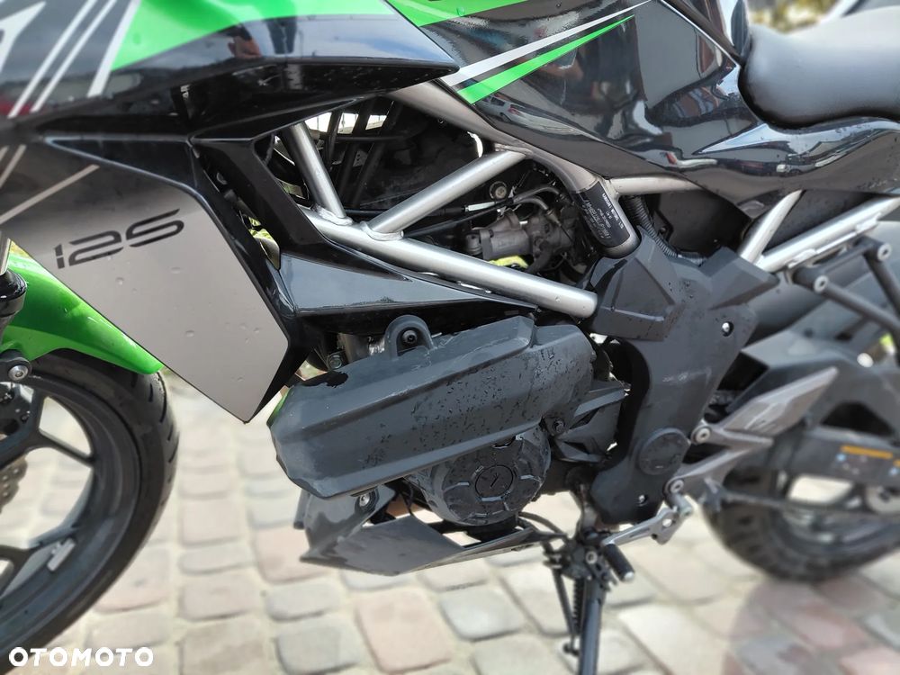 Kawasaki Z - 10