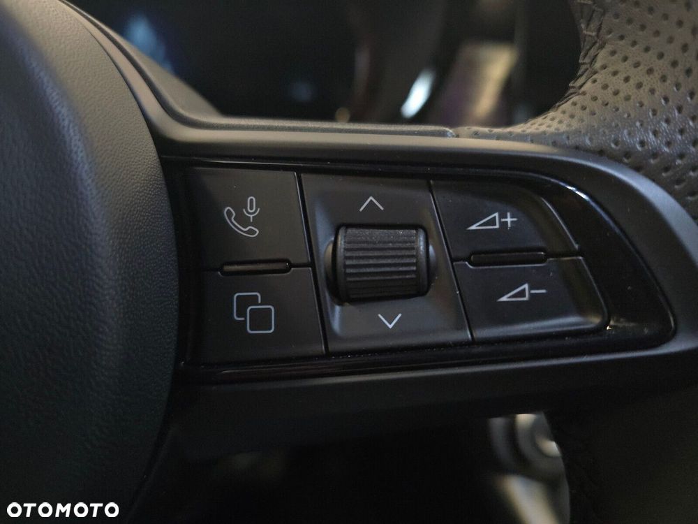 Alfa Romeo Tonale - 18