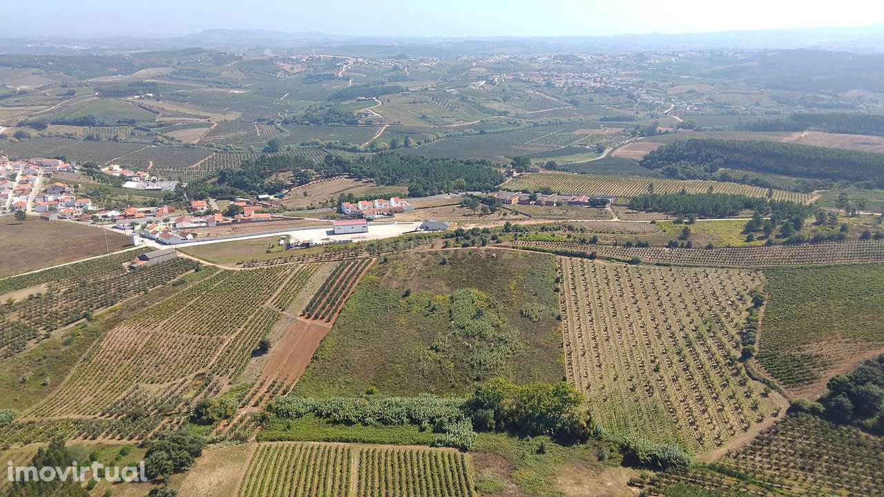 Terreno Rústico de 10.200 m² à Venda na Portela, Bombarral – Ideal par - Grande imagem: 2/9