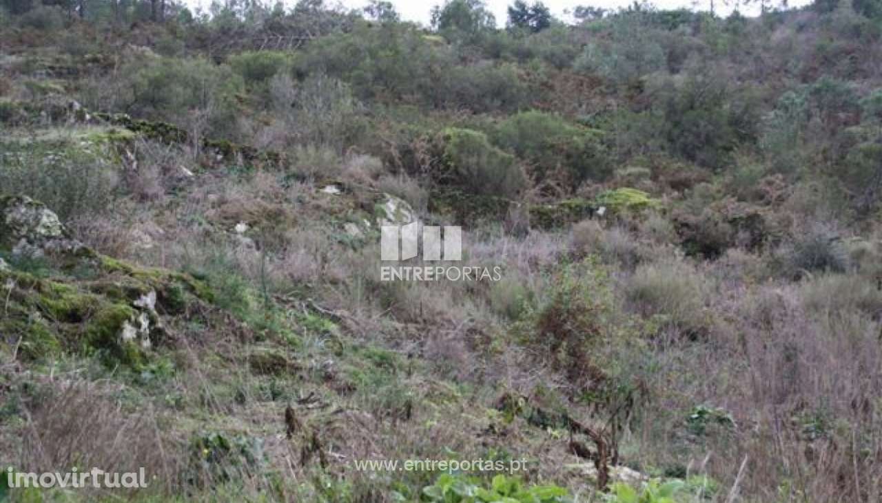 Terreno para venda, Azevedo, Caminha - Grande imagem: 4/6
