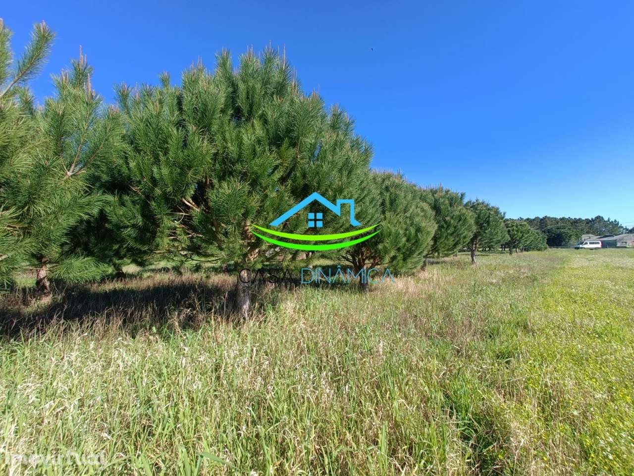 Terreno com Viabilidade de Construção a 10 Minutos da Praia – Araz - Grande imagem: 5/16