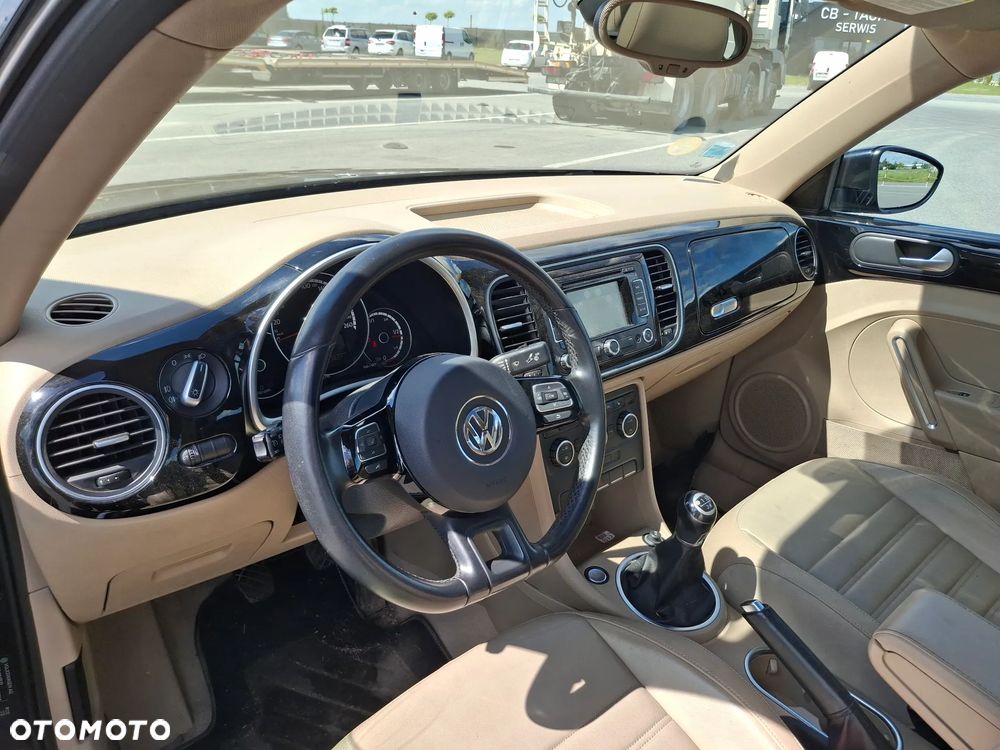 Volkswagen Beetle - 11
