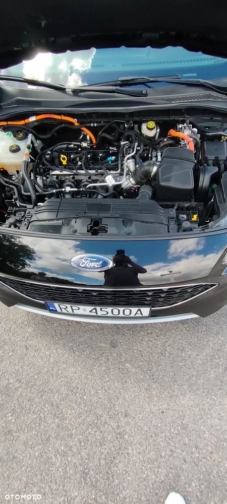 Ford Escape - 10