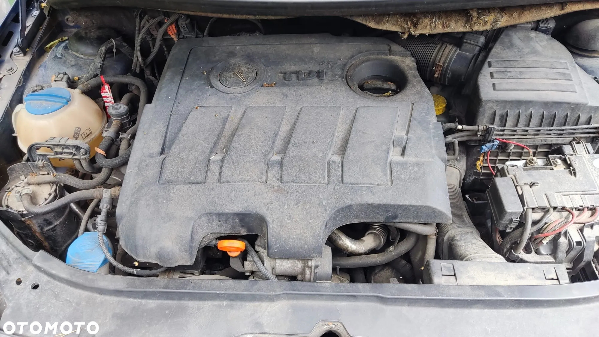 Skoda Fabia 1.6 TDI DPF Active - 7