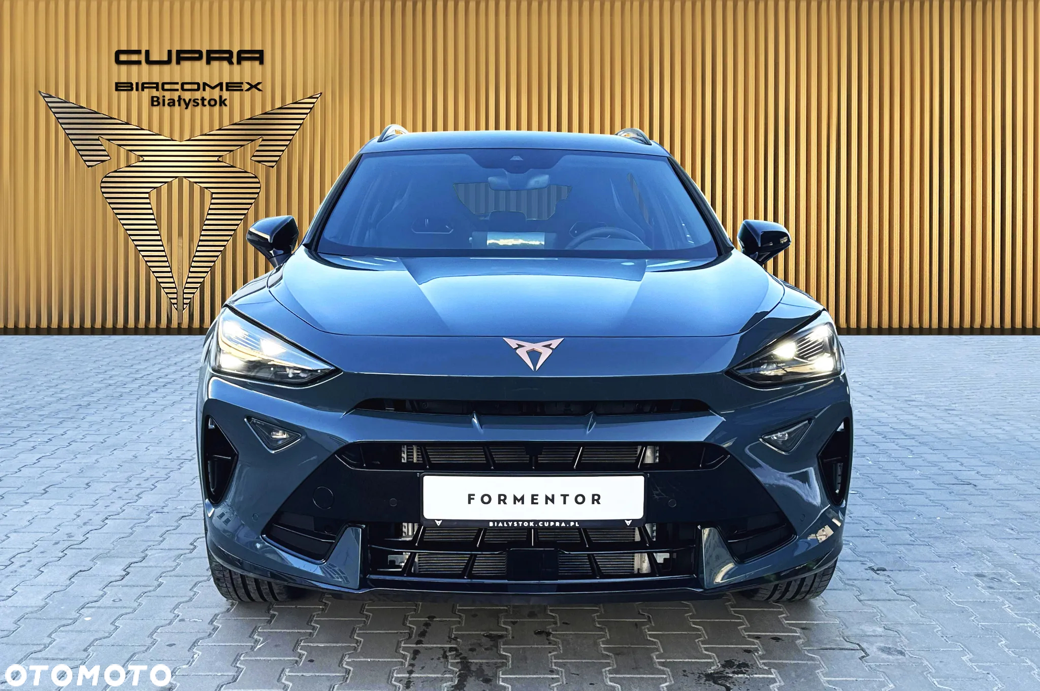 Cupra Formentor 1.5 TSI - 8