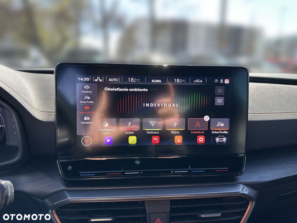 Cupra Formentor 1.5 TSI DSG - 25