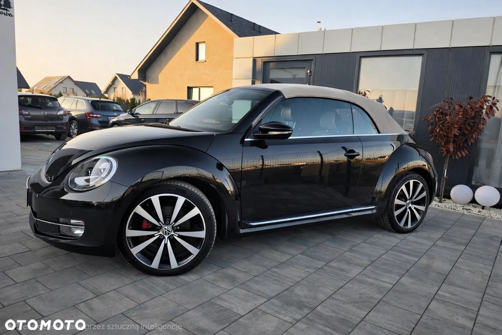 Volkswagen Beetle - 14