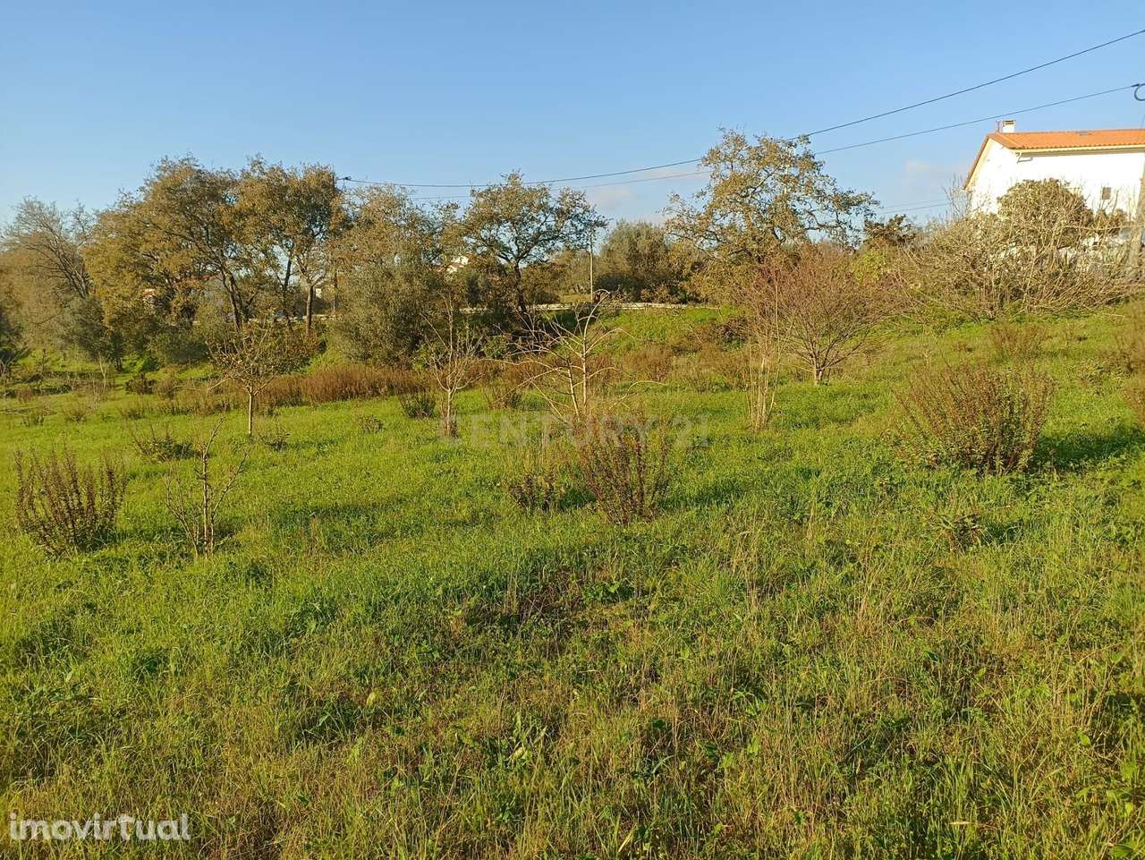 Vendo excelente terreno para construção Outeiro das Galegas - Grande imagem: 3/20