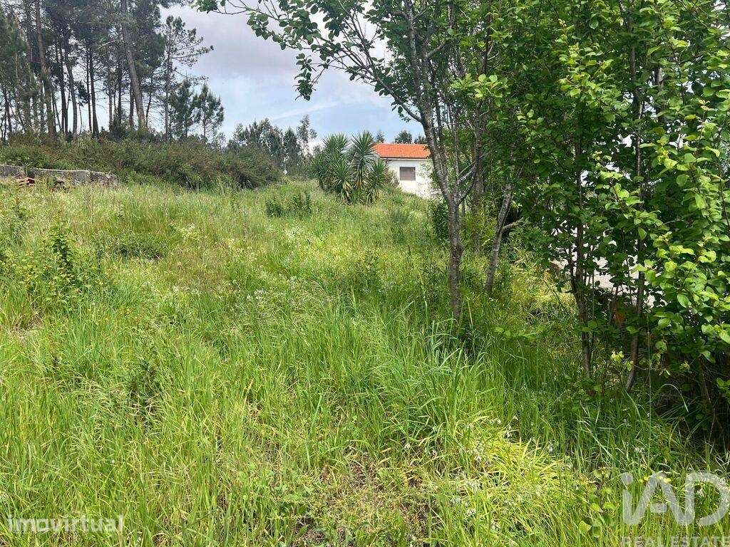 Moradia térrea T2 em Campo e Sobrado de 56 m2 - Grande imagem: 5/10