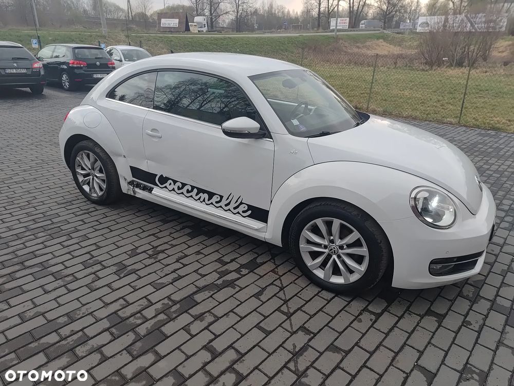 Volkswagen Beetle - 21