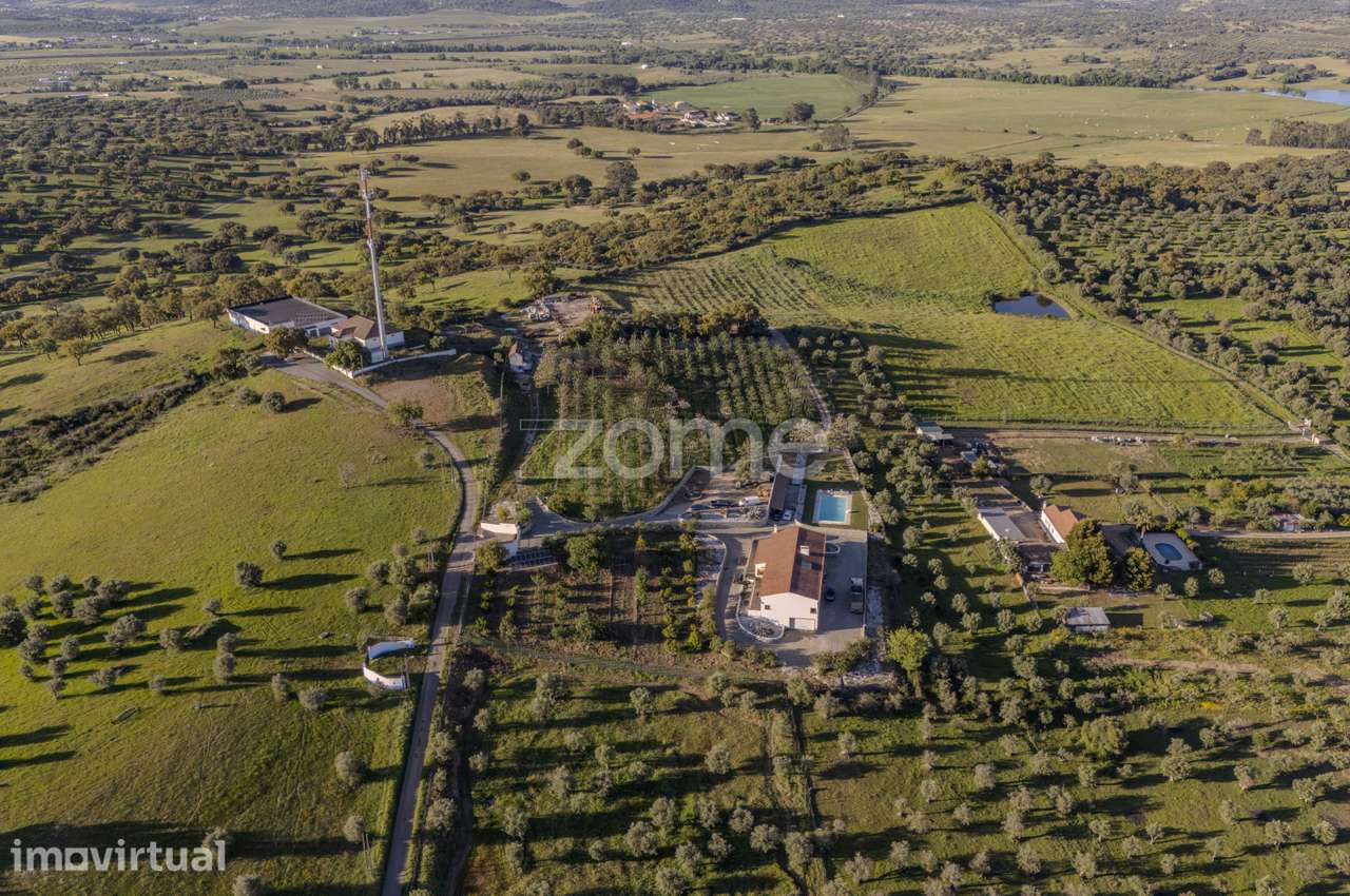Quinta Exclusiva com 3 Hectares - Redondo - Grande imagem: 2/60