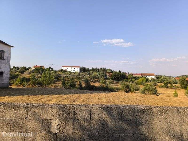 Quinta  Zona Centro 18.000 m² localização previligiada - Grande imagem: 5/8