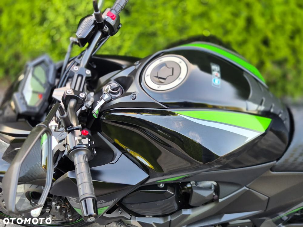 Kawasaki Z - 31