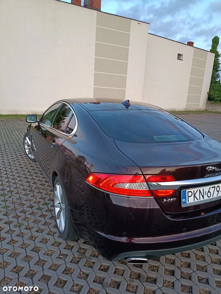 Jaguar XF 2.2 D Premium Luxury - 12