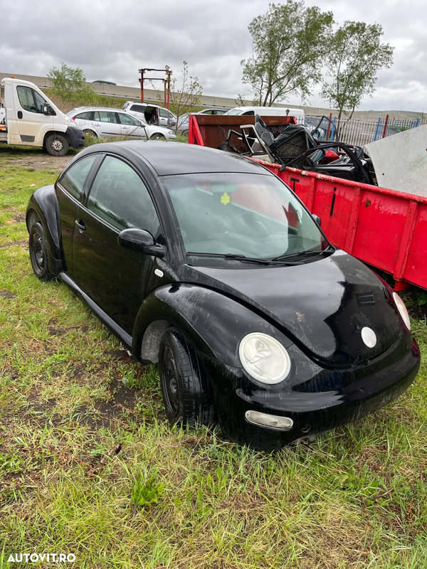 Dezmembrez VW Beetle