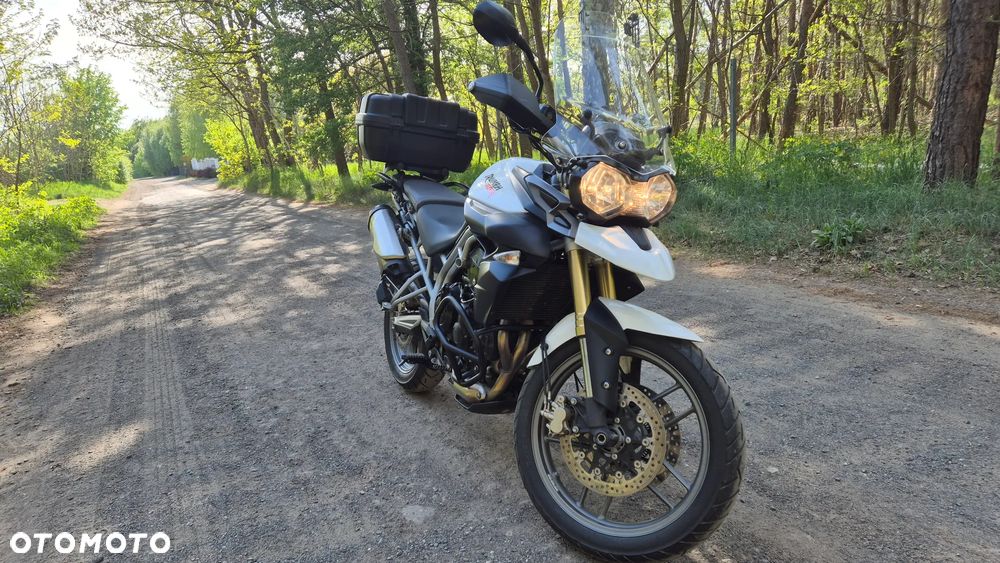 Triumph Tiger - 8
