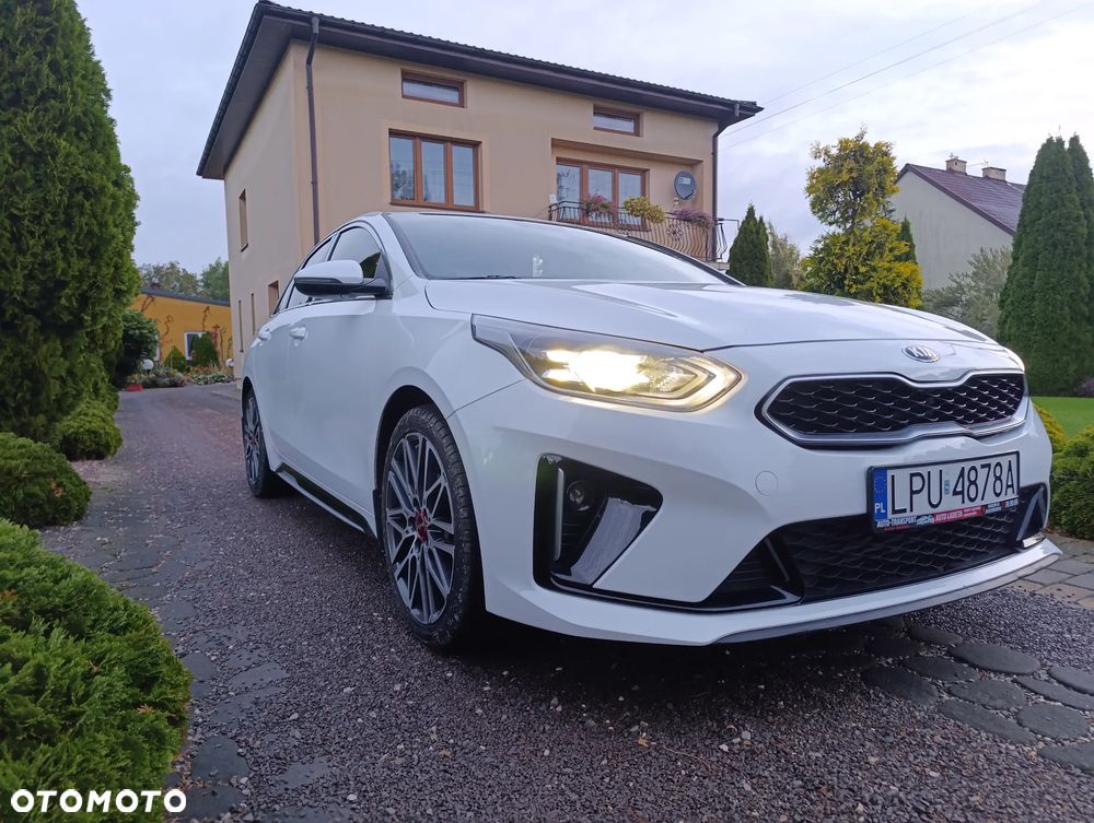 Kia ProCeed 1.5 T-GDI DCT7 OPF GT LINE - 3