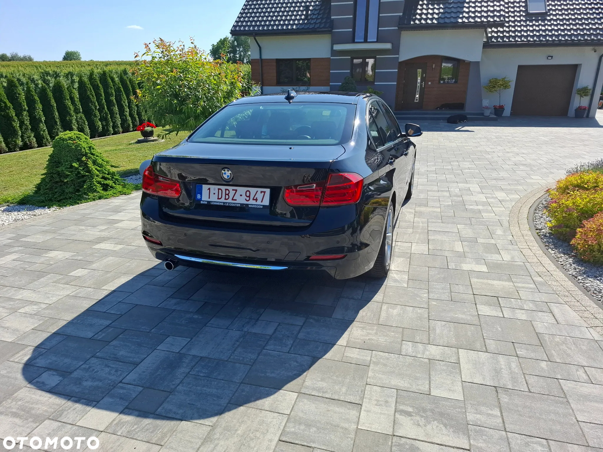 BMW Seria 3 316d Luxury Line - 10