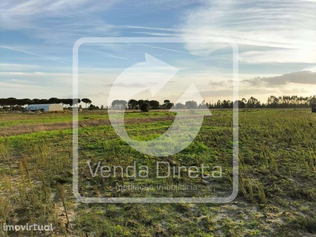 Terreno com 110.000 m2 junto à Nacional 10 - Com Armazém, Furo Lice... - Grande imagem: 3/20