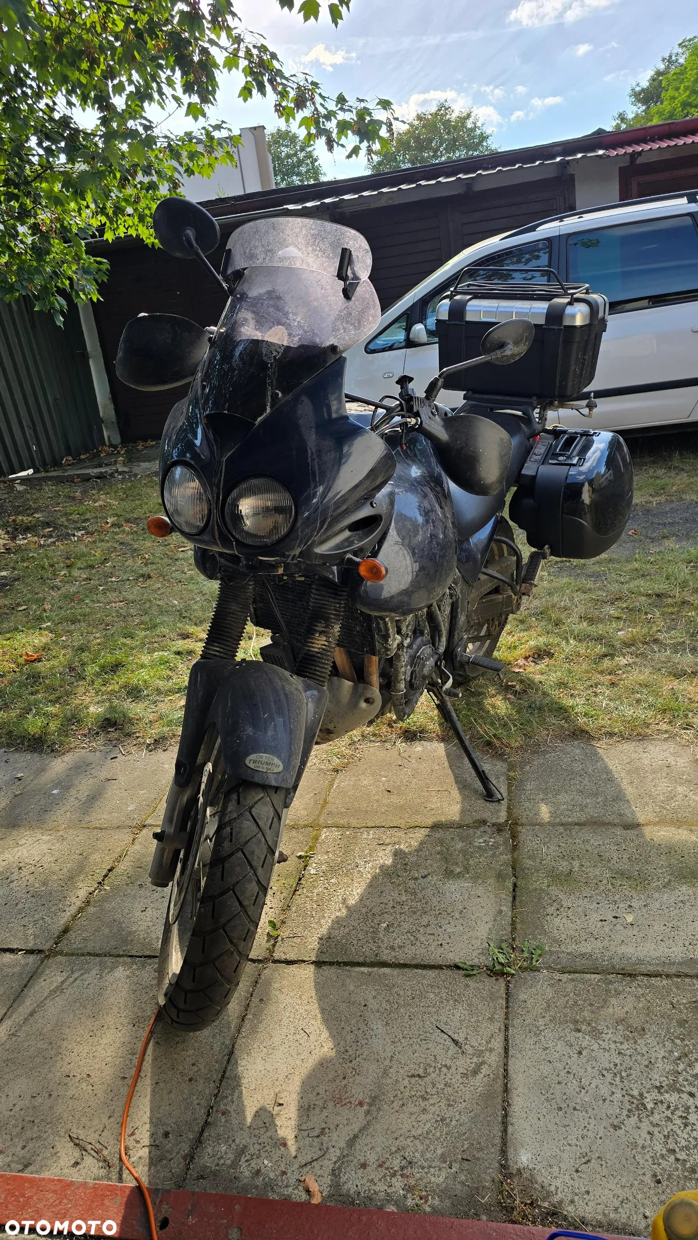 Triumph Tiger - 20