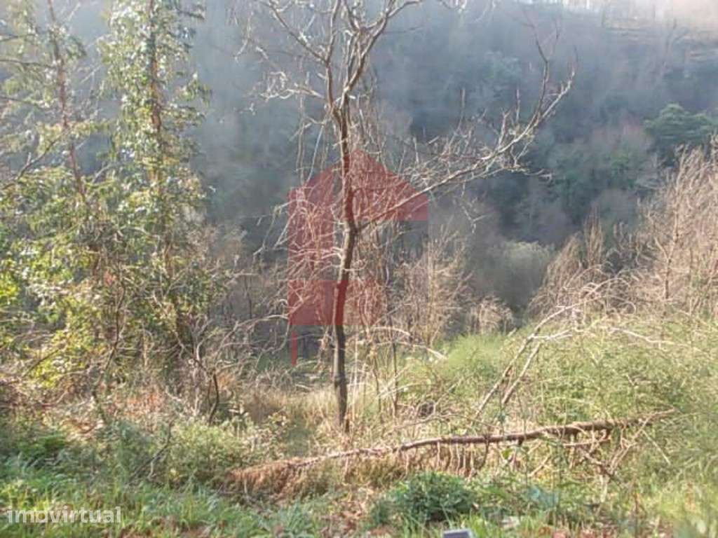 Terreno, Covas - Grande imagem: 5/9