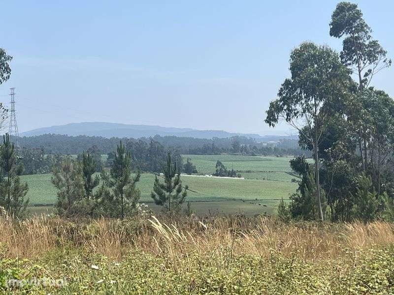 Terreno1050m2 para contruçao com projeto aprovado - Grande imagem: 3/8