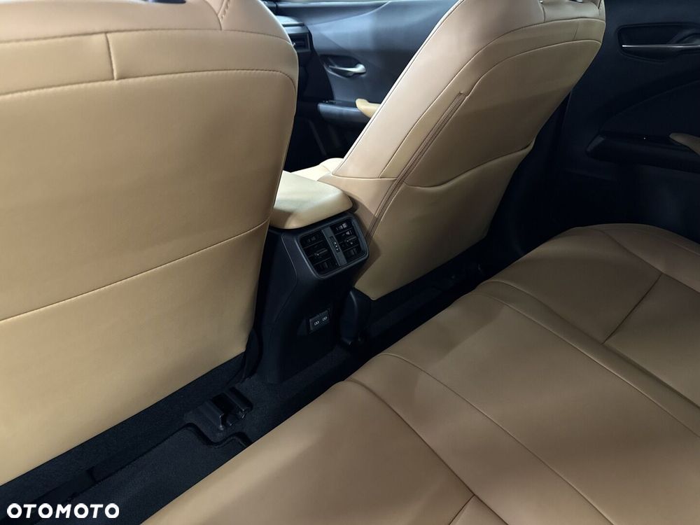 Lexus UX 300h F Sport Design AWD - 12