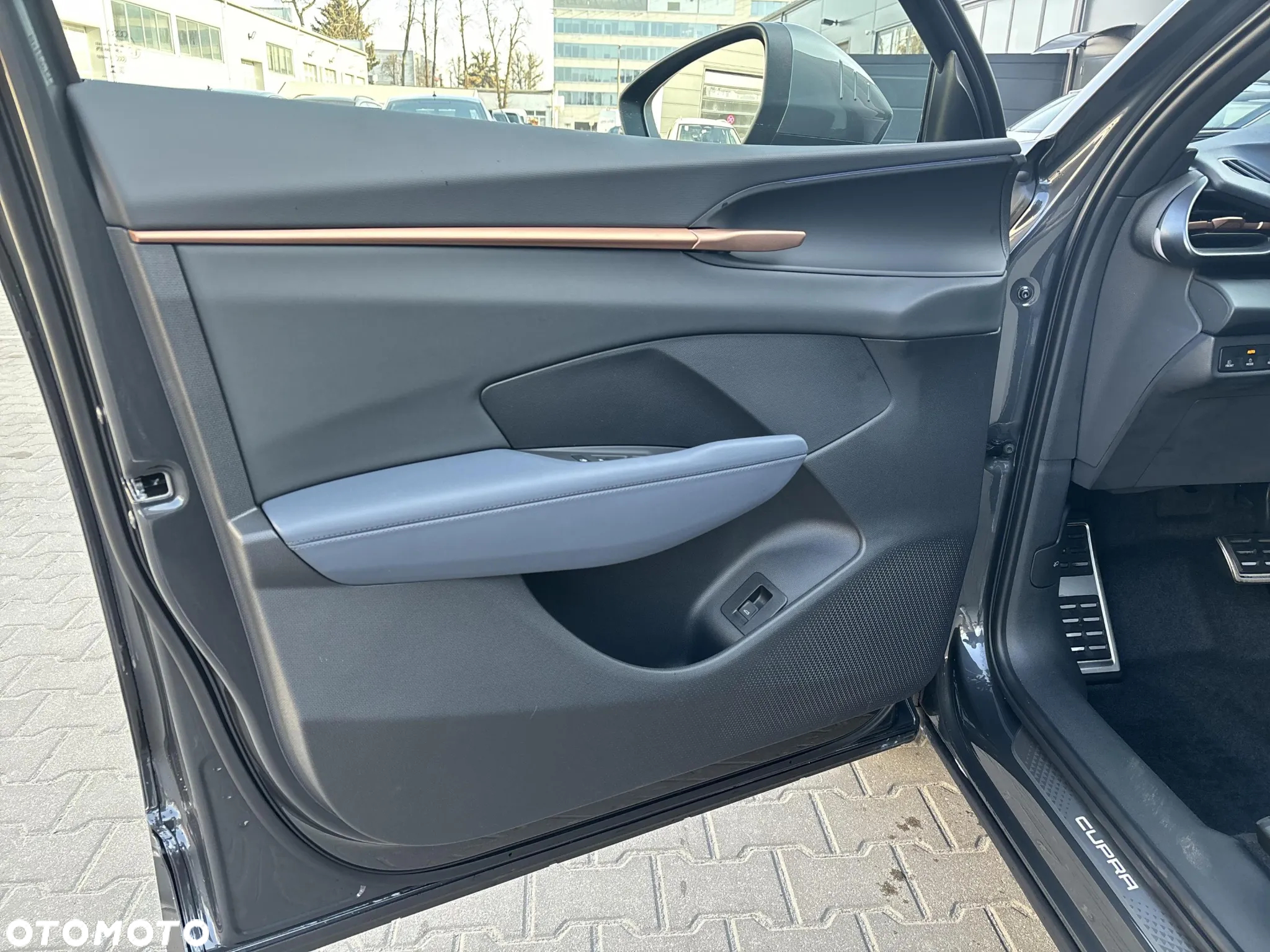 Cupra Terramar - 18