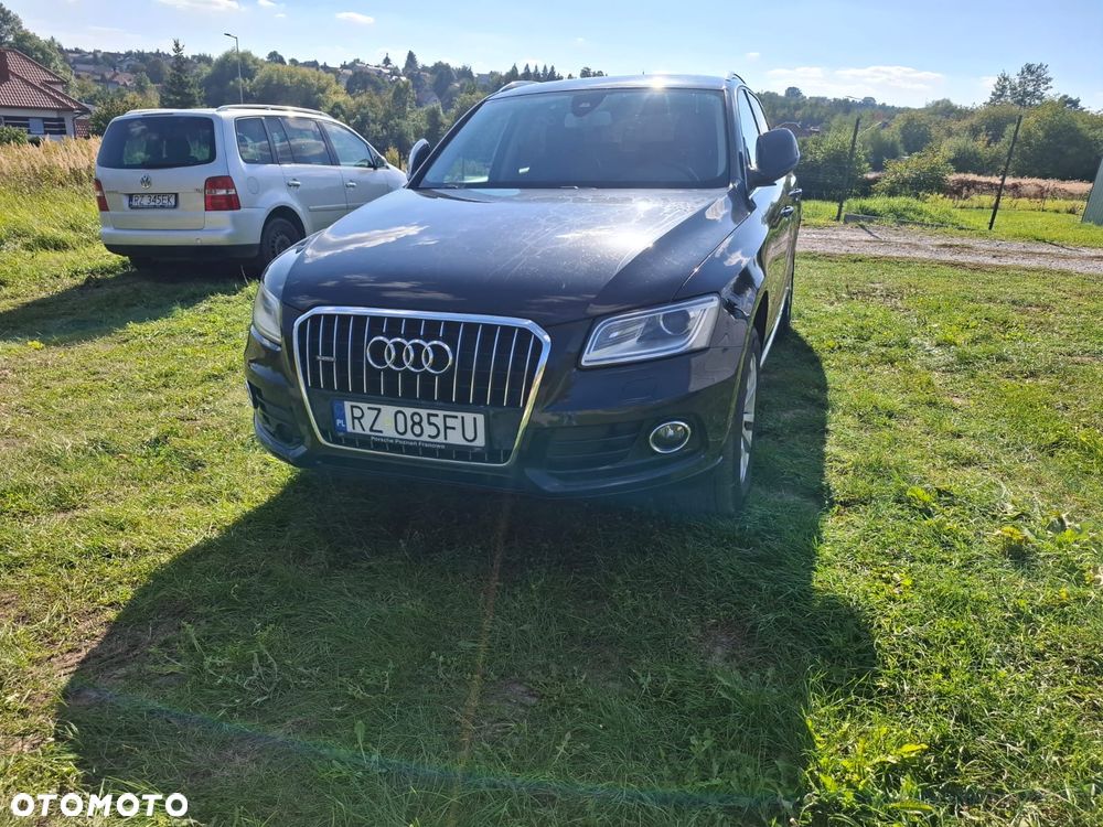 Audi Q5 2012 photo 3