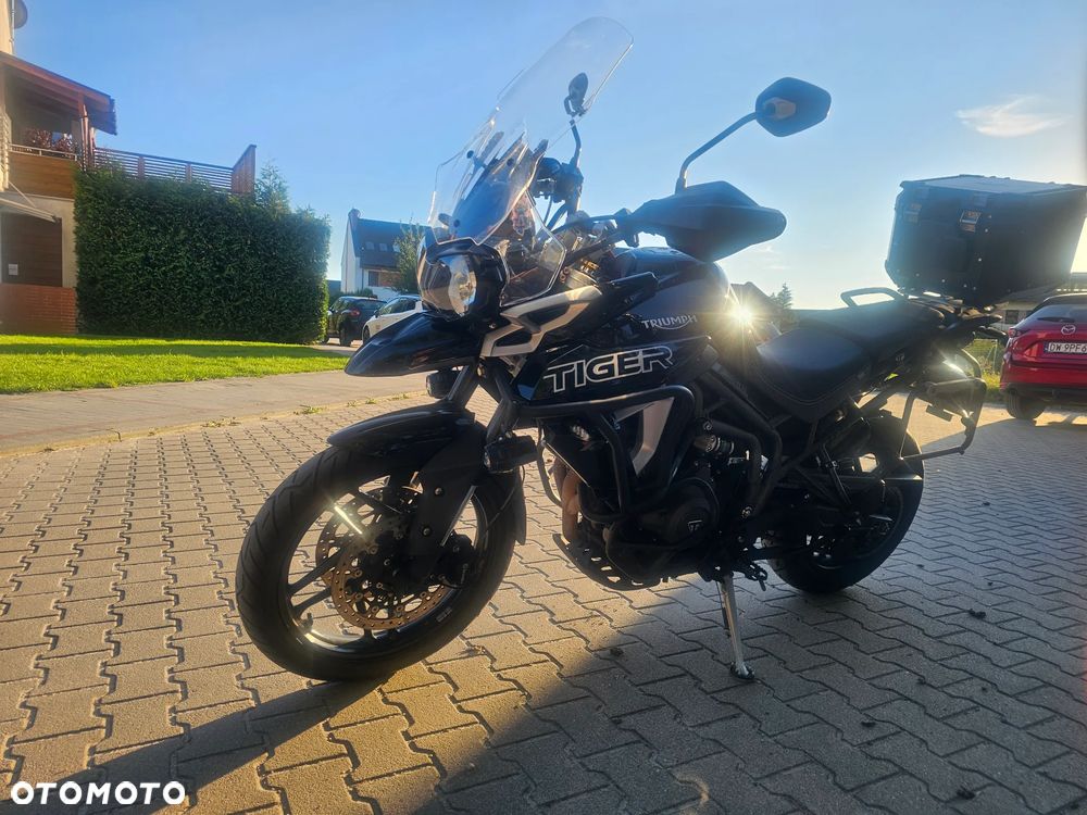 Triumph Tiger - 6