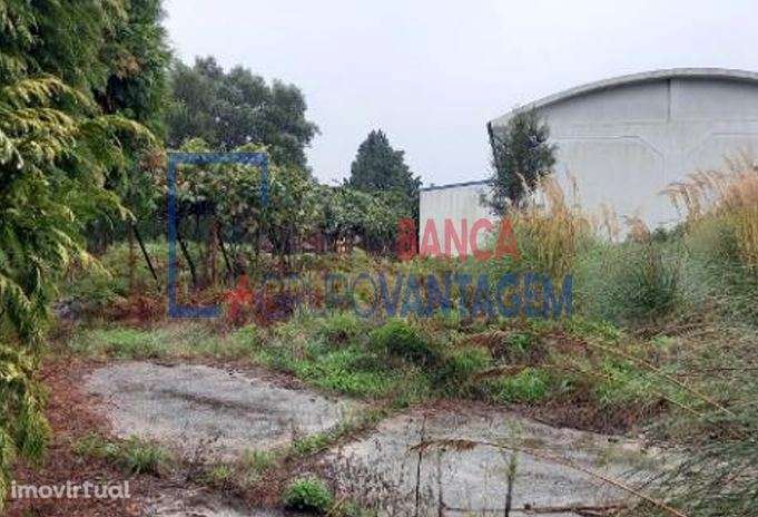 ARMAZÉM - SANTA MARIA DA FEIRA - Grande imagem: 3/13