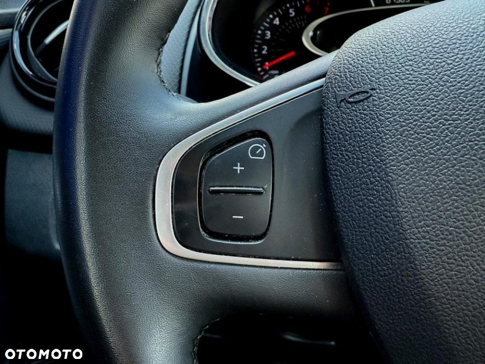 Renault Clio - 14