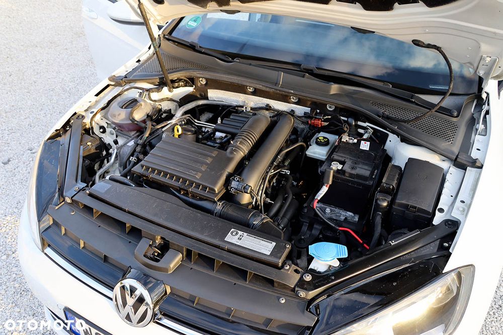 Volkswagen Golf - 39