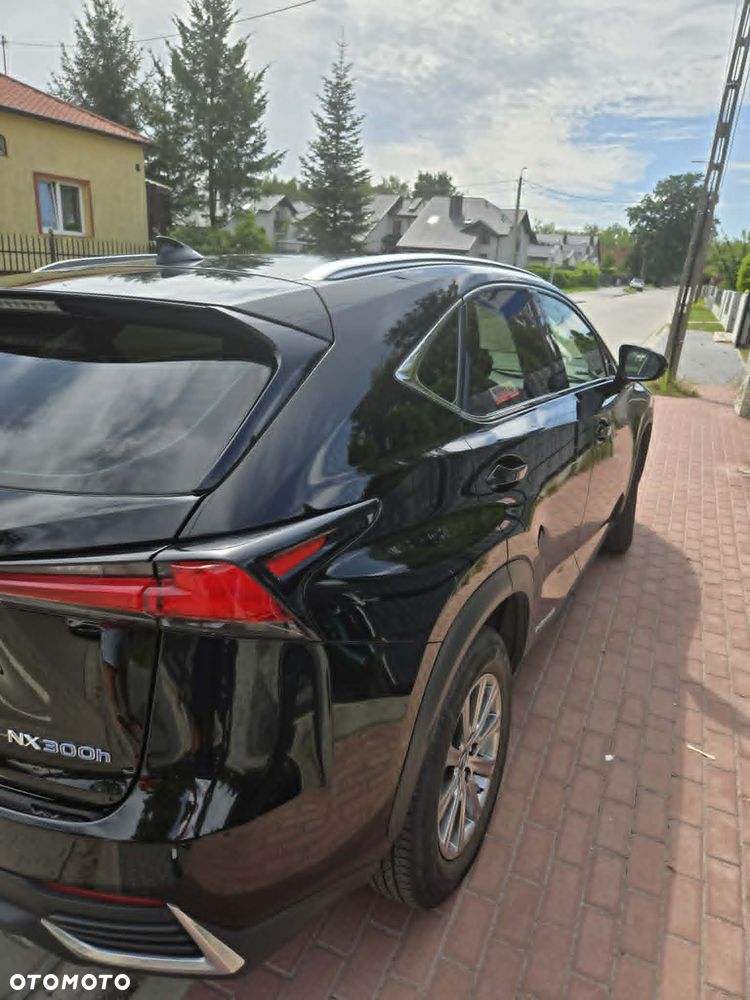 Lexus NX - 6
