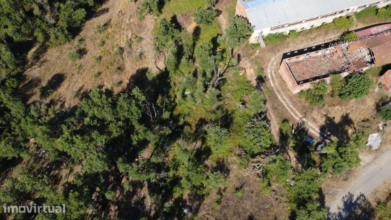 Terreno Rústico com 2.660 m2 – Feteira, Ansião - Grande imagem: 3/7