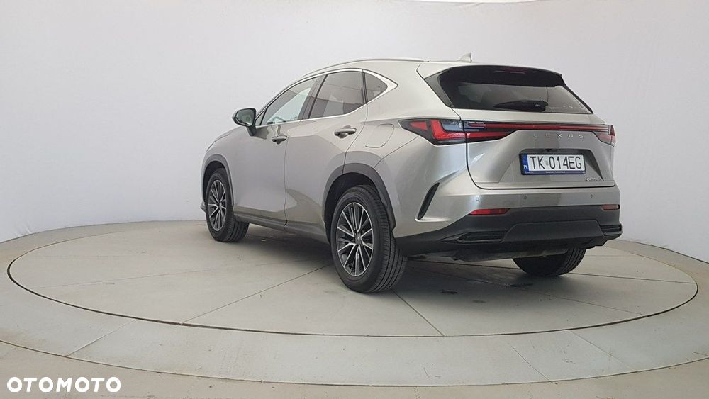 Lexus NX - 6