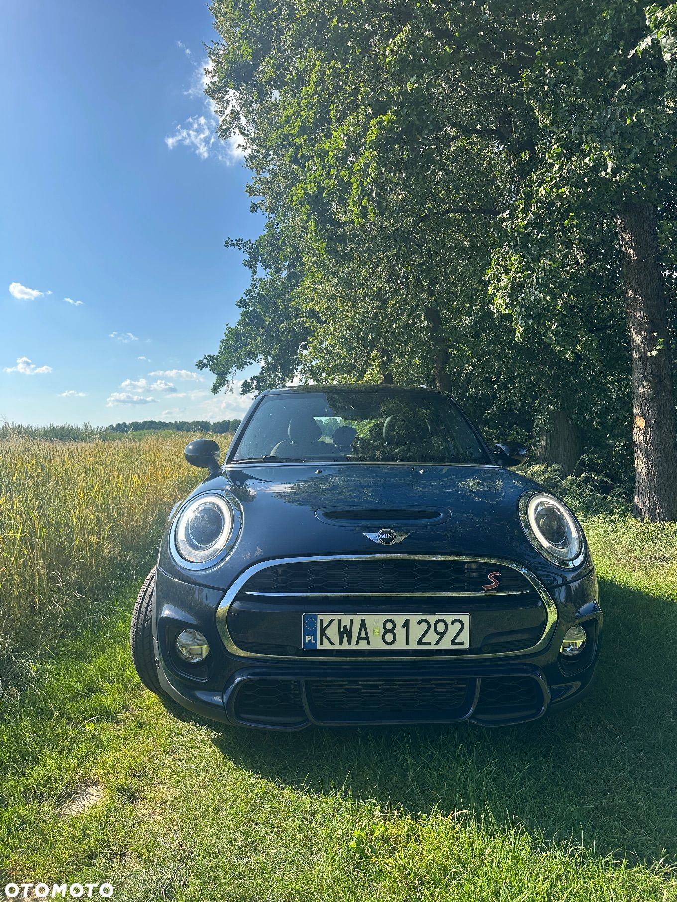 MINI Cooper S - 1
