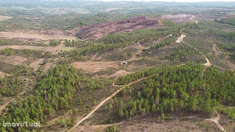Terreno - Grande imagem: 4/6