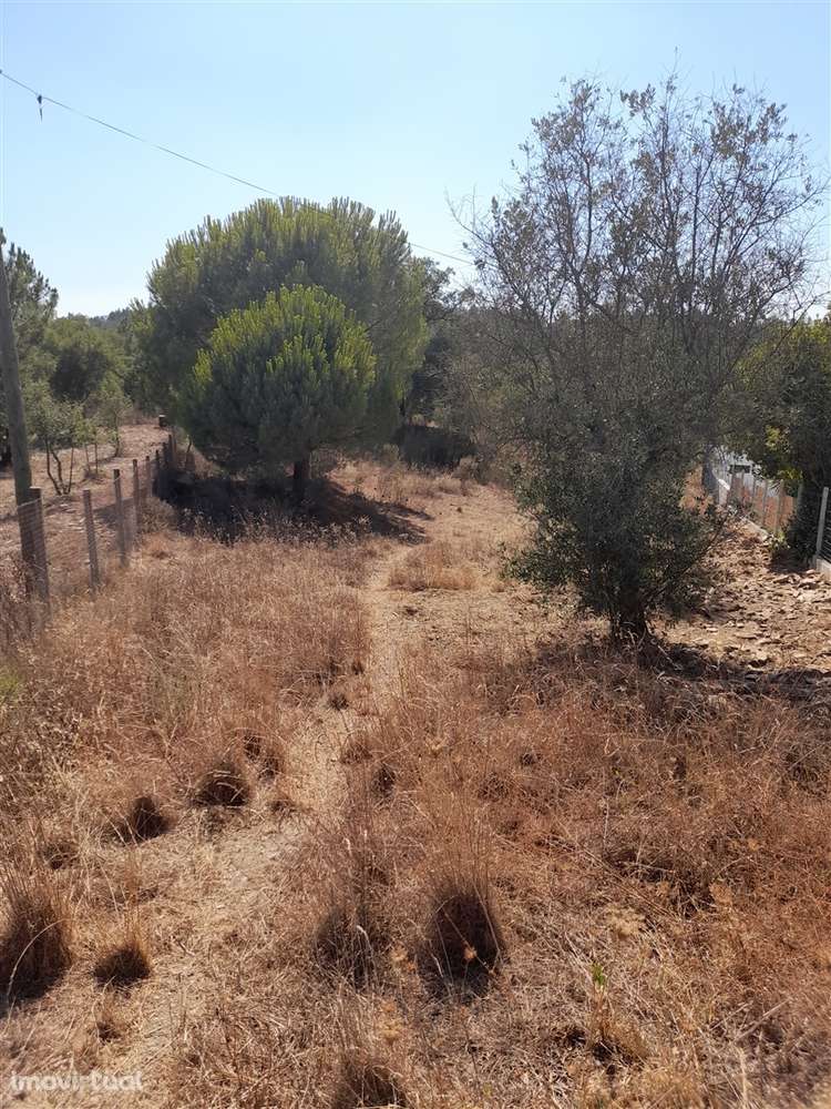 Terreno Rústico T0 Venda em Sarnadas de Ródão,Vila Velha de Rodão - Grande imagem: 2/14