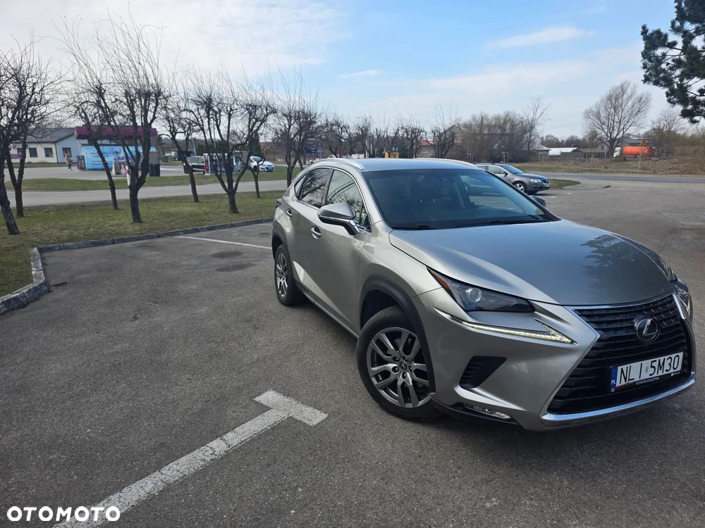 Lexus NX - 3