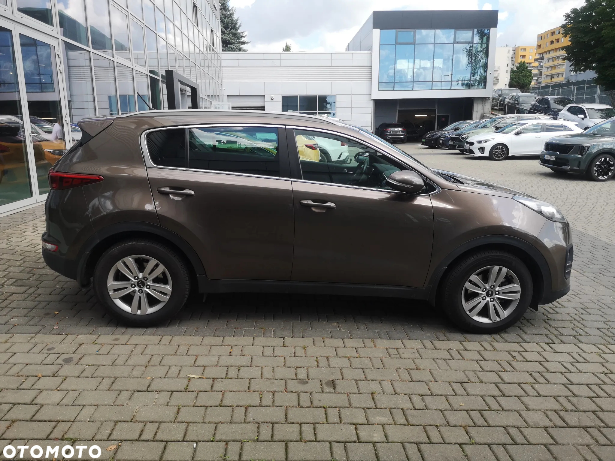 Kia Sportage 1.6 GDI M 2WD - 5