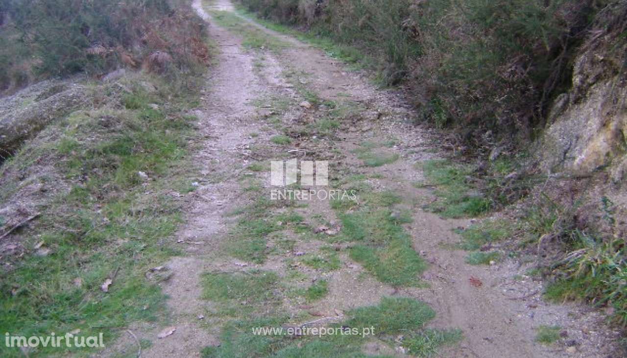 Venda Terreno, Maureles, Marco de Canaveses - Grande imagem: 2/3