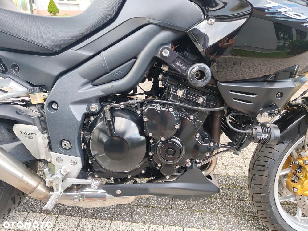 Triumph Tiger - 10