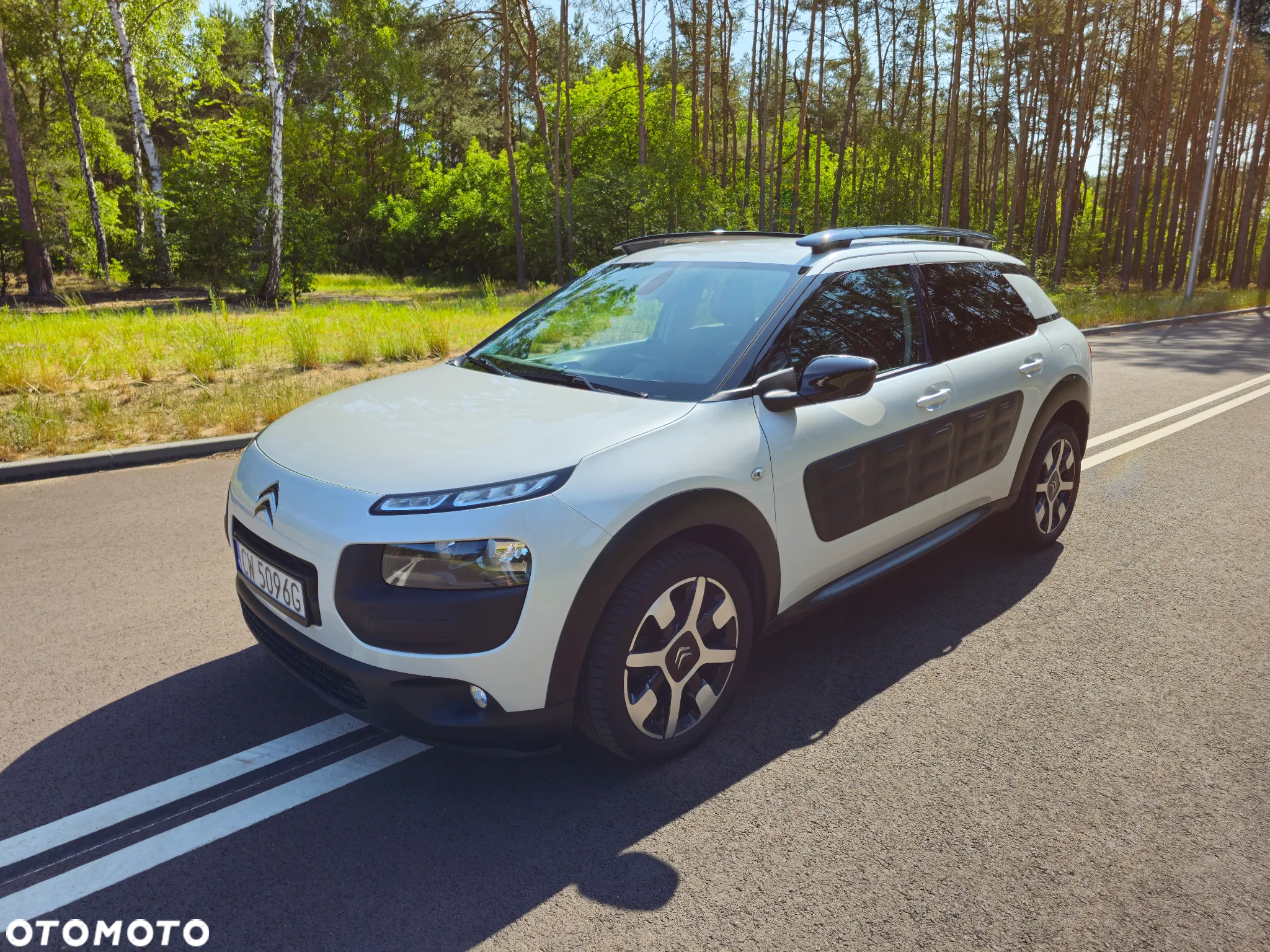 Citroën C4 Cactus 1.6 BlueHDi Shine - 14