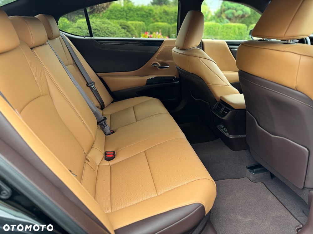 Lexus ES 300h Business Edition + - 17