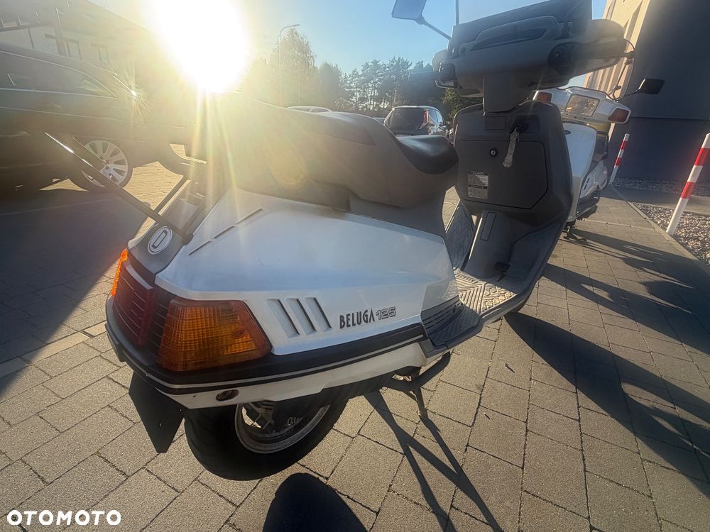 Yamaha Beluga - 18