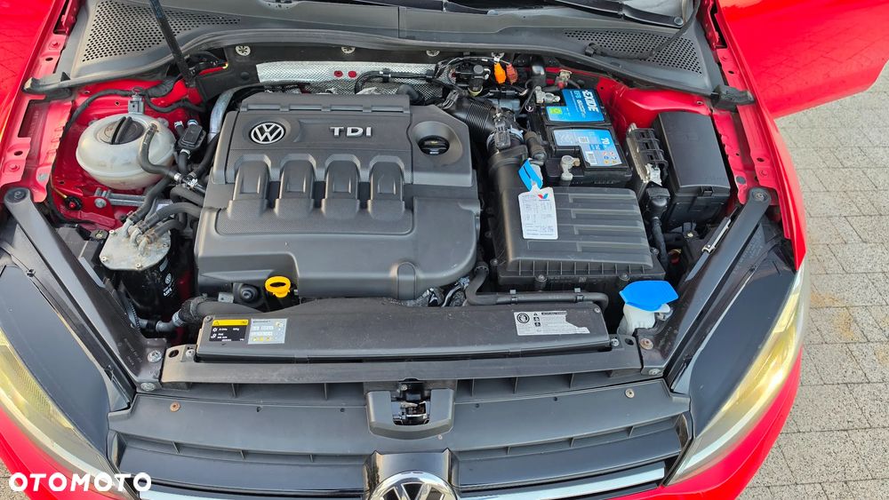 Volkswagen Golf - 16