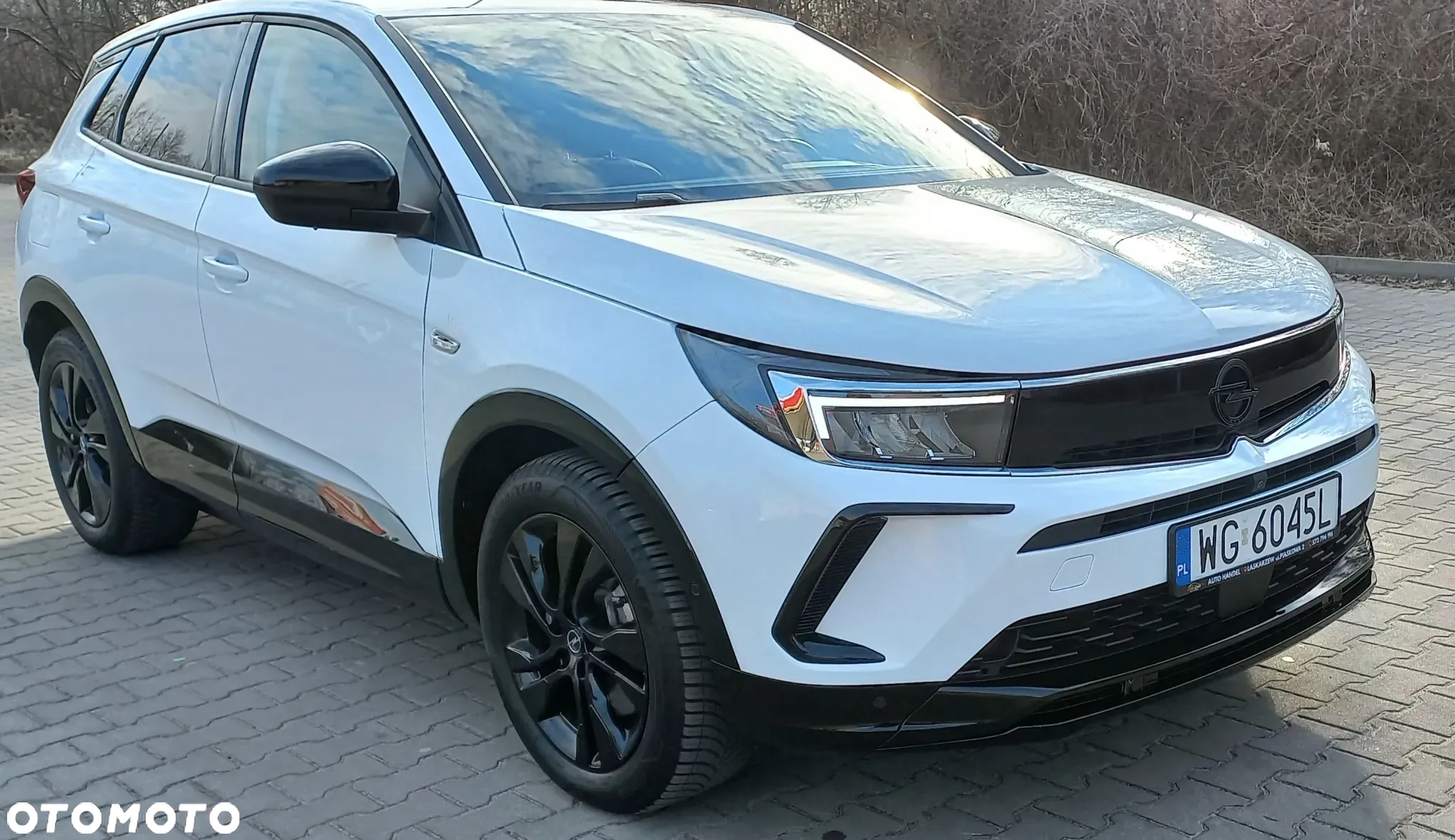 Opel Grandland X - 10